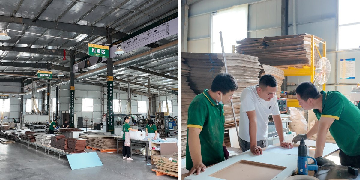 الغرور الحمام الأبيض الغرور الحمام الأبيض