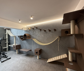 Double Courtyard Mansion