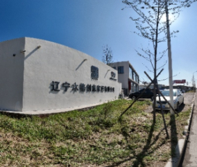 Innovate Beyond Limits