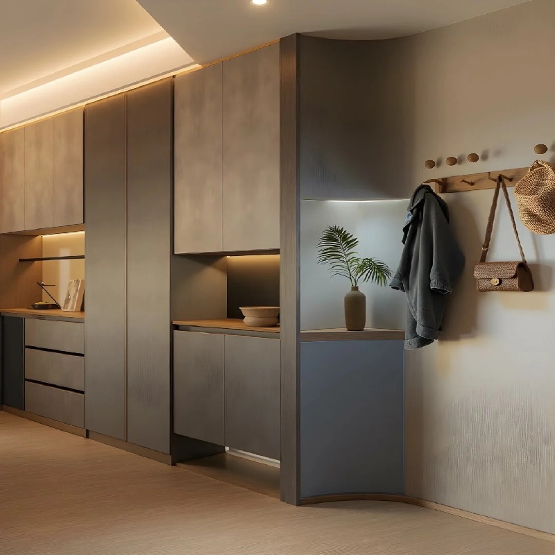 Armoires à chaussures d'entrée