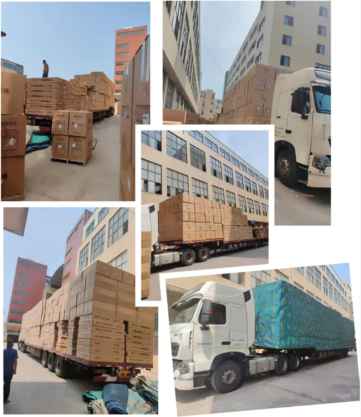 Packing & Shipping Packing & Shipping